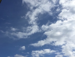 image.jpeg